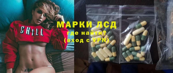 стаф Чердынь