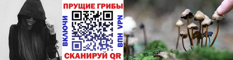 Галлюциногенные грибы Psilocybine cubensis  Шимановск 